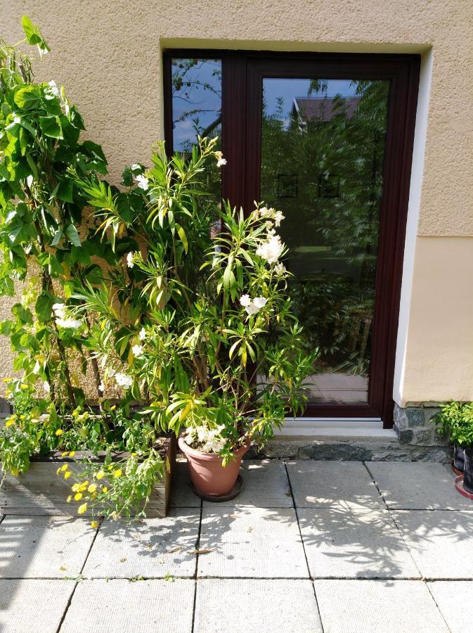 Ubytovani Bludov U Lazni Kültér fotó